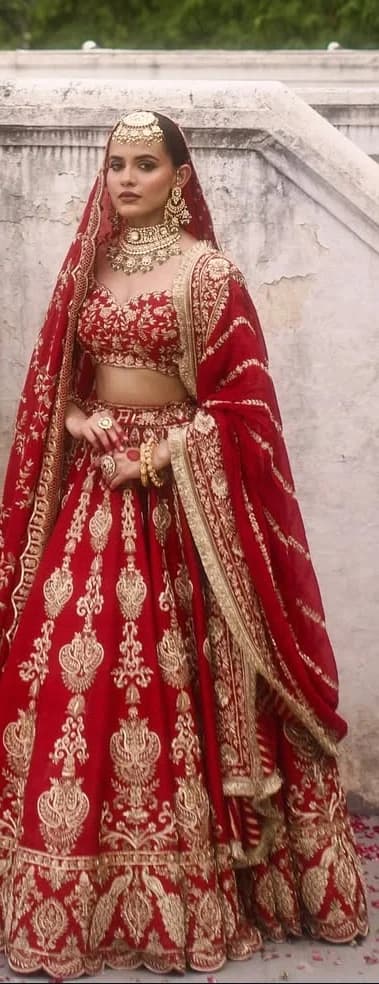 Image 2 of Red Lehenga by Custom / Other
